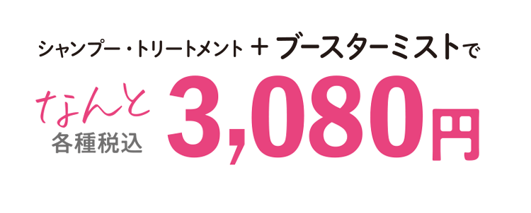 お得なセット