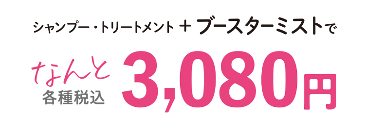 お得なセット