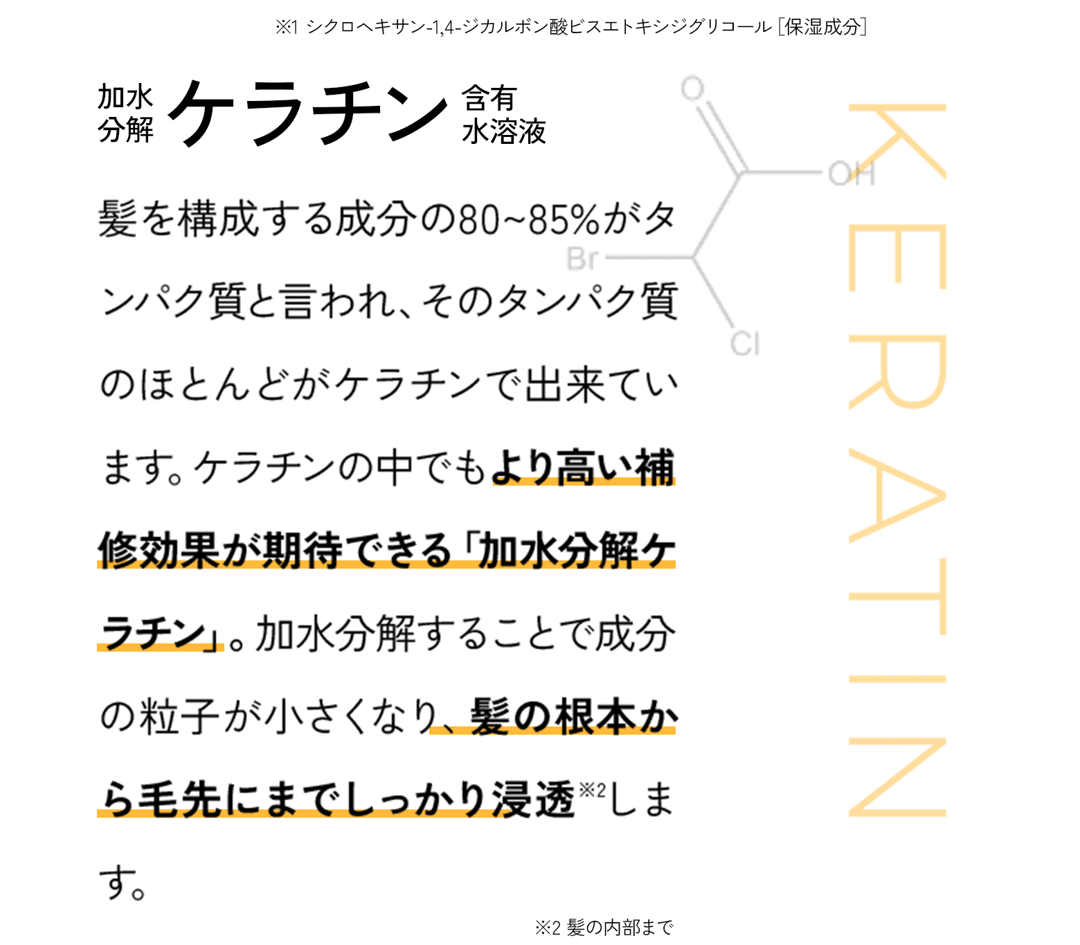 髪を構成する成分の80~85%がタンパク質と言われ、そのタンパク質のほとんどがケラチンで出来ています。ケラチンの中でもより高い補修効果が期待できる「加水分解ケラチン」。加水分解することで成分の粒子が小さくなり、髪の根本から毛先にまでしっかり浸透※2します。※2 髪の内部まで